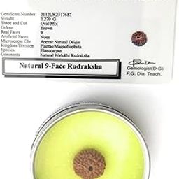 Apnisanskriti Original 9 Mukhi Rudraksha (Small Size, Nine Face Rudraksh, Lab Certified)- Brown - Pack of 1-16