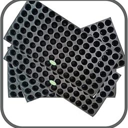 Pack of 10 Piece | 98 Cells Seedling and Nursery Trays | for Gardening & Seed Germination |-16