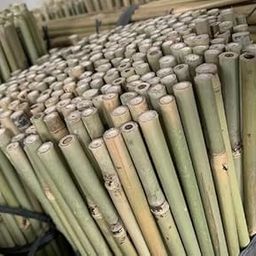 TCLPVC Natural Bamboo Canes, Sticks Gardening Plant Support Stakes for Indoor Plants, Tomatoes, Potted Plants (6FT, Pack of 15)-5
