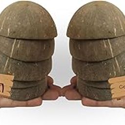 Coco Land Coconut Shell Finished Bowl (Small Size Pack of 10) (7-8 CM Diameter) 100 ml Decorative Pots/Showpieces/Candle Making Bowl/Handicraft/Agro Craft-image-25