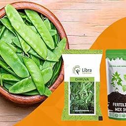 Val Seeds for Planting | Lima Bean | Home Garden | Kitchen | Farming | Vegetable Hybrid | Terrace | Balcony | Eating | Sem Phali | Bakla | Broad Bean | Pawta | Hurulee Kai | Phaseolus Lunatus (DHRUVA)-image-14