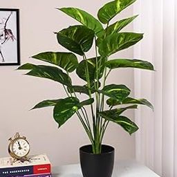 Home Bloom Artificial Miniature PVC Silk Photosh Floor Plant with Big Leaves with Pot (multicolour-92)-image-15