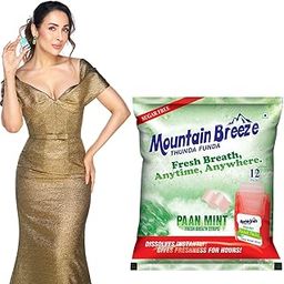 Mountain Breeze Mouth Freshener Sugar Free Paanmint Flavoured Breath Strips_(18 Strips Per Cassatte)-Pack Of 1(12 Cassette).-image-26
