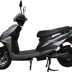 Green Invicta Low Speed Electric Scooter Non RTO 60KM Range Grey with Portable Charger-picture-17