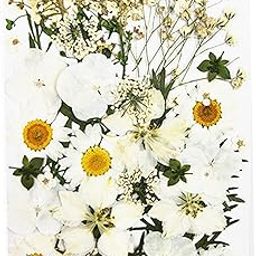MERISHOPP Real Dried Flowers Petals Art Craft Epoxy Resin Jewelery Soap Making White-image-10