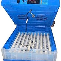 TM&W -64 Chicken Egg Rolling Type Automatic Egg Incubator Capacity of 64 Eggs (Any Size Egg can be Hatched)… (64 egg incubator)-picture-24