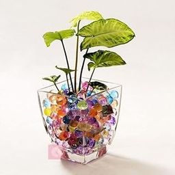 Polygon Green Colorful Crystal Magic Rubber Water Jelly Balls Beads for Plant, Flower Pot, Home Decor (20 Gram)-image-25