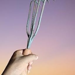 Vintage Hand Made Garden Hand Cultivator Tool, Heavy Duty 4-Tine Metal Fork with Wooden Handle, 30 cm-image-76