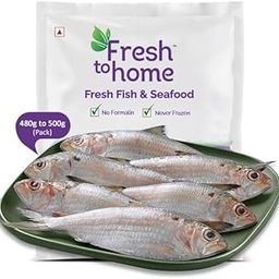 FreshToHome Greenbacks/Scaled sardine/Kanna Mathi | Whole | 480g to 500g Pack | Fresh | Never Frozen-image-84
