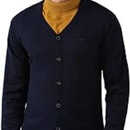 Men Acrylic V-Neck Sweater-image-20
