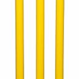 Guru Cricket Wicket Set, Heavy Plastic Cricket Stumps Set - 3 Stumps + 2 Bails + 1 Base Stand (Yellow)-image-55
