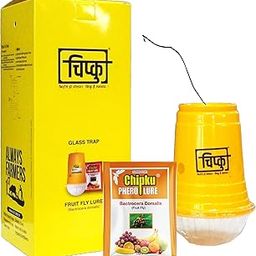 Chipku Fly Magnet Trap Useful in Mango, Papaya, Sapota, Guava, Pomegranate, Sweet Fruit (10 Trap with 10 Fruit Fly Lure) - Pack of 10-image-17