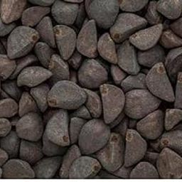 Kala Dana-Kala Dana Chota-Black Seeds-Kala Beej-Ipomoea Hederocea (250 Gms)-image-23