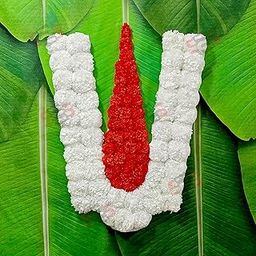 S2S Venkateswara Swami Namalu Artificial Fluffy Marigold Flowers Backdrop Wall Door For Pooja Decoration Traditional Background For Festival (White Flowers, 50 Cm, 50 Cm)-image-9