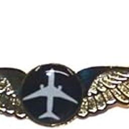 Pilot18 Black Aircraft Premium Uniform Wings Gold Electro-Plated Badge for Pilots-32