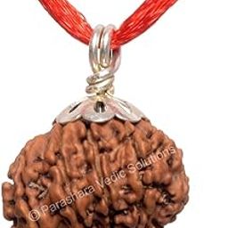 ARKAM Eleven Mukhi Rudraksha Certified/Original Nepali 11 Mukhi Rudraksh/Natural 11 Faced Rudraksha with Silver Pendant (Brown) with Certificate and Puja Instructions-image-59