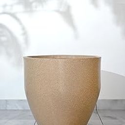 EVERPLAST Plants, Highly Durable Polymer, Lightweight Indoor Outdoor Plant Pots, Flower Pot, Gamla Tree Planter Container Planters for Living Room, Balcony, Garden (Sand Stone, 24"X24")-image-21