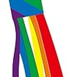 Club Bollywood®Hanging Windsock Reliable Tel Multicolor Durable for Home Decor Style B|Home & Garden | Garden D?©Cor |1 Windsock-image-111