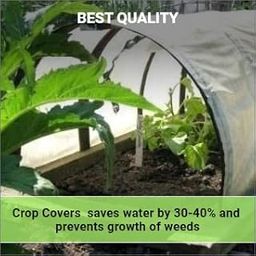 Siddhi Crop Cover 5.25 Feet - (1.6 Meter X 400Meter X 20 GSM Protection Cover Non-Woven Fabric Plant Cover (20 GSM Crop Guard)-image-16