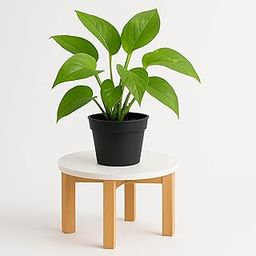 Premium Foldable wooden Plant Stand – Table for Pot-image-32