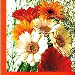 KSS MIRAGE PHOTO ALBUM $ Moisture free with 160 PHOTOS Album (Photo Size Supported: 4"X6") Photo Albums-image-70