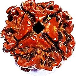 Natural 4 Mukhi Nepali Rudraksha for Unisex-picture-54