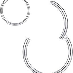 Hypoallergenic Nose Rings 20G 18G 16G 14G 12G 10G 8G 316l Surgical Steel Piercing Jewelry Hinged Segment Ring Body Piercing Nose Hoop Lip Rings Nose Helix Cartilage Rook Earrings-image-4