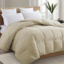 TEXARTIST Twin Beige Comforter, All Season Quilted Down Alternative Duvet Insert with Corner Tabs, Breathable Bed Comforter, Summer Warm, Beige (64"x88")-image-59