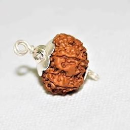 Rudrarise Holistic 7 Mukhi Rudraksha Original Certified by IGL Real & Best Nepali Rudraksh AA++ Quality 7 Face Ruthratcham for Wearing Purpose 7 मुखी रुद्राक्ष ओरिजनल-image-33