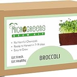 Sow and Grow Microgreens Grow Kit: Broccoli 20 Grams || Easy to Use Kit for Beginner Gardeners || Gardening Set to Grow at Home-43