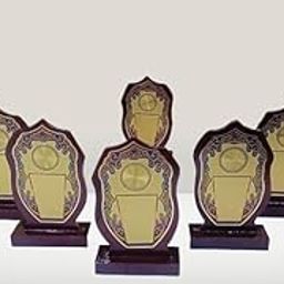 Wooden Momento Single Star 6.75 INCH OR 17.14 CM Size (Set of 10) Pcs Trophy (Medium)-image-56