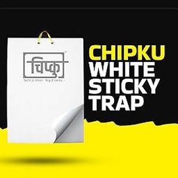 Chipku- White Sticky Insect Trap for Smaller Insects in Garden & Farm,Black Thrips/Fly Trap/Insect Catcher/Sticky Pads for Insects, Whiteflies, Thrips Pack of 10 nos 200x300 mm-image-74