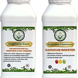 Vegetata Capsicum +Vegetata Cure Combo|Complete Vegetable Care Solution For Healthy,Disease-Free,Fast-Vegetating Plants|Promotes Fast,Healthy Growth &growth regulator (500ml+500ml)-image-31