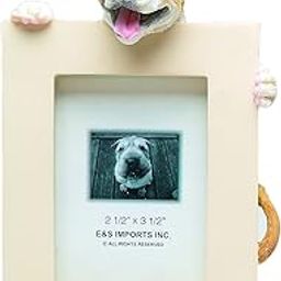 Pit Bull, Tan and White Picture Frame Holds Your Favorite 2.5 by 3.5 Inch Photo, Hand Painted Realistic Looking Pit Bull Stands 6 Inches Tall Holding Beautifully Crafted Frame, Unique and Special Pit Bull Gifts for Pit Bull Owners-image-72