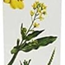 Patanjali Crack Heal Foot Cream 50gm pack 2-image-94