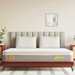 SleepyCat Cloud Mattress | Hotel-Like Quilted EuroTop with Memory Foam & Latex | No-Motion Transfer Pocket Spring | Pressure Relief & Luxurious Feel | Queen Size (72x60x8 Inches)-image-51