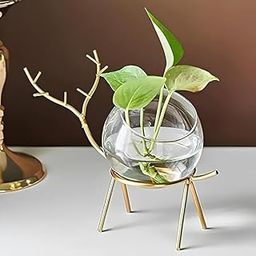 J.R Traders Creations Modern Glass Plant Holder with Gold Metal Stand, Decorative Tabletop Planter for Indoor Plants-image-2