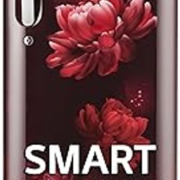 LG 185 L, 5 Star, Smart Inverter, Direct-Cool Single Door Refrigerator (GL-D201ASCU.BSCZEBN, Scarlet Charm, Base stand with drawer & Fast Ice Making)-picture-2