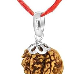 Brown 11 Mukhi Ganesh Ji Nepali Rudraksha with 925 Silver Pendant - Natural & Certified-picture-5