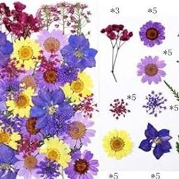 Dried Pressed Real Flowers Colorful Natural Dried Flowers Daisies for Candles Handmade Art & Crafts Epoxy DIY Resin Pendant Jewellery Gifts Accessories Nail Art - Multi Color-10