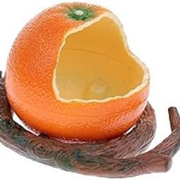 BNF® 2xPet Bird Food Feeding Bowl Feed Cup Hamster Drinking Water Dish Orange|Pet Supplies | Bird Supplies | Feeders|1 Piece Bowl(2 Pack)-image-10