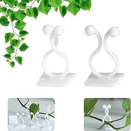 ABEEBHA 30pcs Plant Climbing Wall Clips Self-Adhesive Money, Vine Plant Climbing Fixing Clip Hook Invisible Plant Clips for Climbers Plant Wall Clips Plant Support Binding Clip [Multi Color ]-picture-6