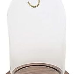 3"x4-1/2" Pocket Watch Glass Display Dome Cloche Real Walnut Wood Base & Wood Knob-image-42