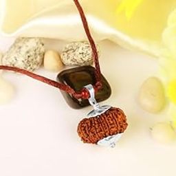NEXG Rare 18 Mukhi Rudraksha Original Certified Auspicious Atharah Mukhi Rudraksha with Pure Silver Locket-picture-38