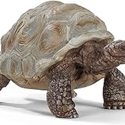 SCHLEICH Wild Life, Animal Figurine, Animal Toys for Boys and Girls 3-8 Years Old, Giant Tortoise-image-71