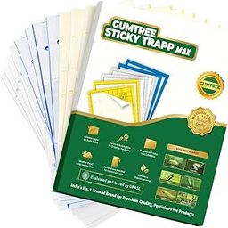 Gumtree Yellow Sticky Traps Max-20 Nos Pack for Farm and Garden Use| Glue Trap for Sap-Sucking Pests Like Aphids, Thrips, Whiteflies, Jassids| Non-Toxic and Chemical Free, Sticky Traps-29