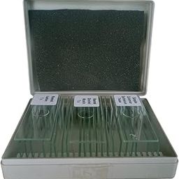 BEXCO 25 Zoology Prepared Microscope Slides Lab Specimens with Box-12