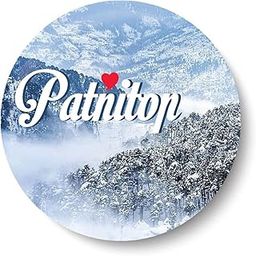PEACOCKRIDE Love Patnitop I Souvenir l Travel Fridge Magnet (Metal, Multicolor, 75mm)-image-2