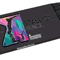 YOUVA Navneet Stallion Pencil With Eraser Tip - Pack Of 10, Ink black-11