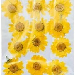 MSGH Dried Flowers for Resin Art - Natural Dry Flowers for Decoration, Candle Making, Soap Making, Nail Art & DIY (12pcs) (dryflower(12pcs Yellow))-image-84